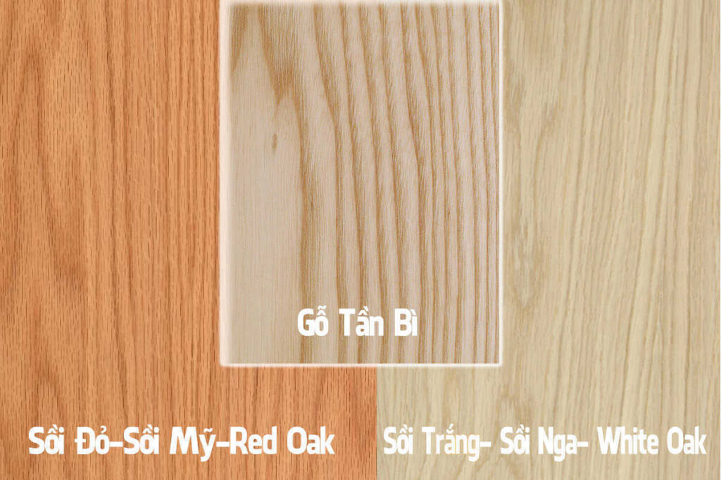 Gỗ Sồi và gỗ Tần Bì